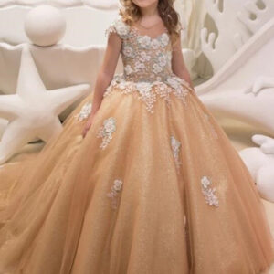 ball gown round collar floor length court tulle applique flower girls dress showprettydress