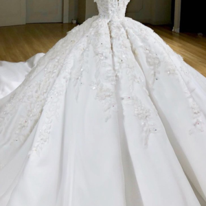 Ball Gown V-neck Wide Strap Short Train Tulle Applique Wedding Dress