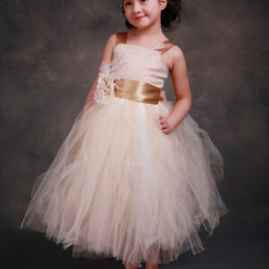 champagne princess lace straps flower sash tulle tea length toddlers tutu dress showprettydress