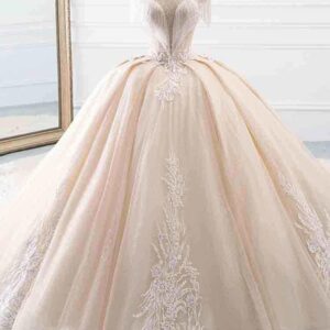 Elegant Long Ball Gown High Neck Tassel Sleeves Tulle Wedding Dresses