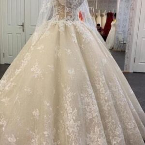 glamorous long sleevess lace a line bridal gown pirncess wedding dress showprettydress