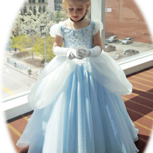 jewel neck short sleeves pleated kids social party dresses showprettydress