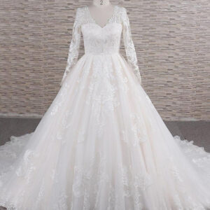 Long A-line V-neck Tulle Appliques Lace Wedding Dress with Sleeves